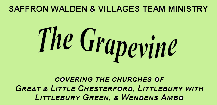 Grapevine CVimage